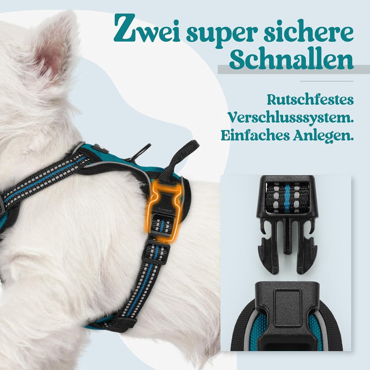 rabbitgoo Hundegeschirr Kleine Hunde, Anti Zug Geschirr mit Kontrolle, No Pull Verstellbar Hundegesc