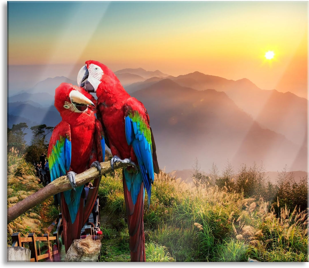 Papageien Pärchen Herdabdeckplatte & Spritzschutz aus Echtglas | Für Herd-Kochfelder | 60x52 cm