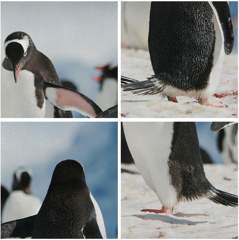 Panorama Bilder auf Leinwand 100x40cm Leinwandbild Pinguine Winter Natur Schnee Gross Wanddeko Bild