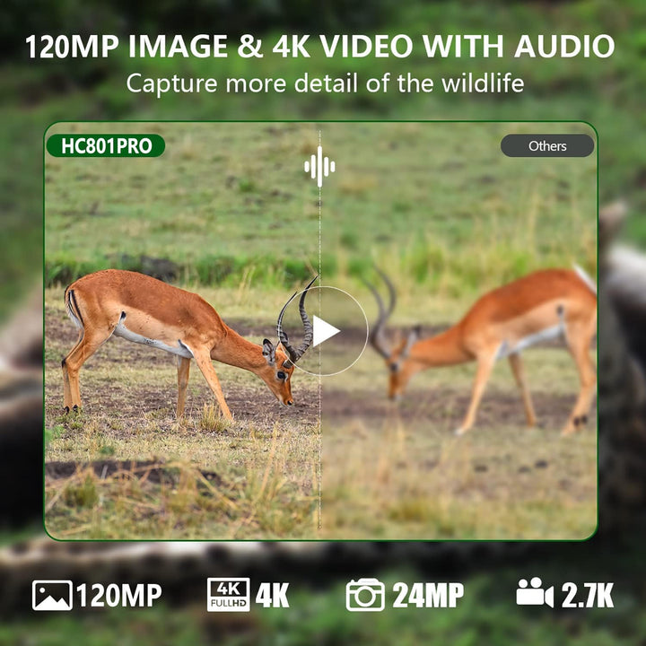 Wildkamera 4G APP, 120 MP 4K, Wildtierkamera mit SIM-Karte, Telefon-Sende-Foto, Nachtsichtkamera 850