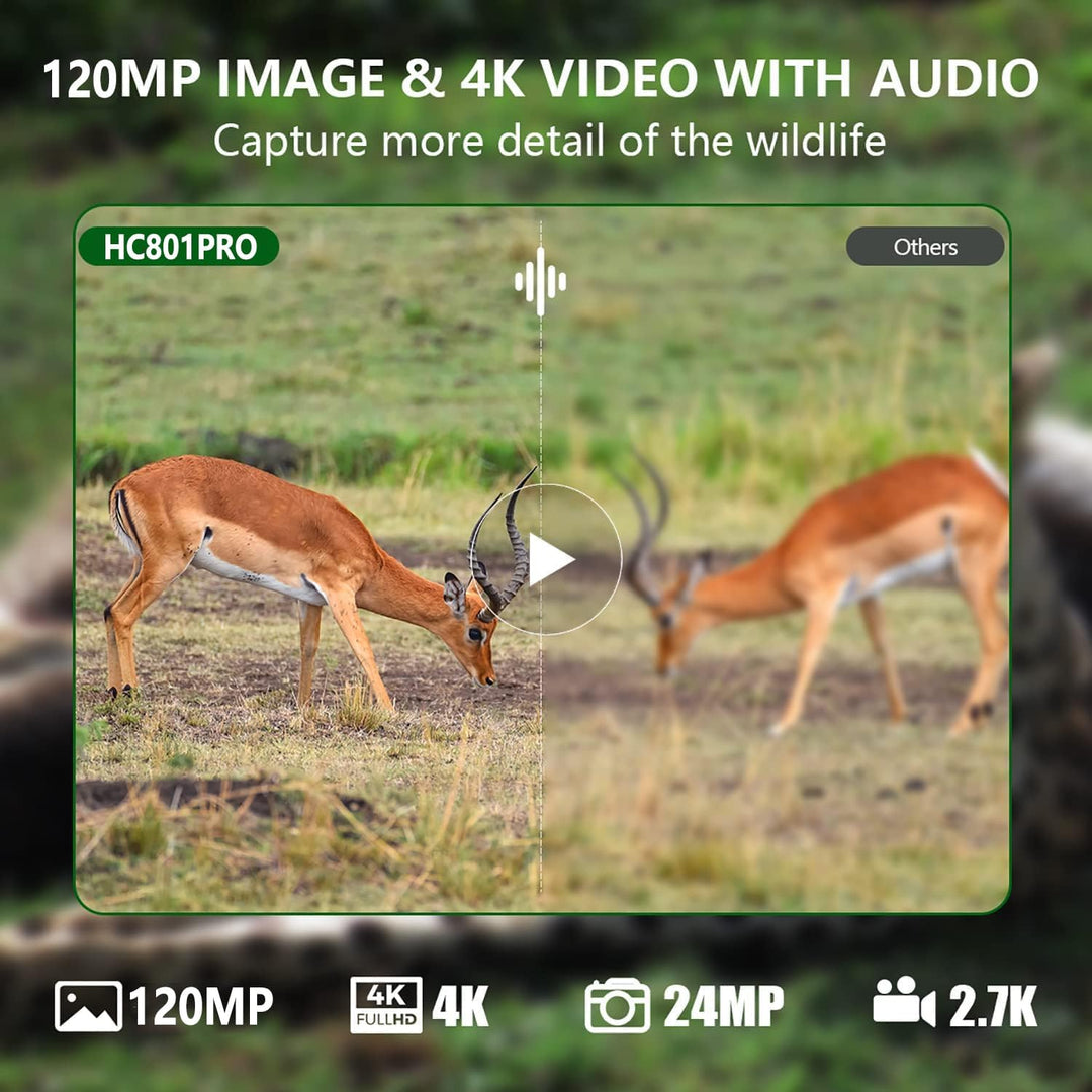 Wildkamera 4G APP 120 MP 4K, Wildtierkamera mit SIM-Karte, Telefon-Sende-Foto, Nachtsichtkamera 850n