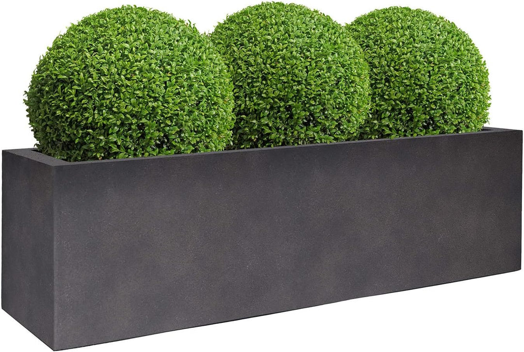 ESCHBACH® Pflanzkübel Box 60 Espresso Anthrazit Rechteckig * 60 x 20 x 20 cm * 10 Jahre Garantie 60x