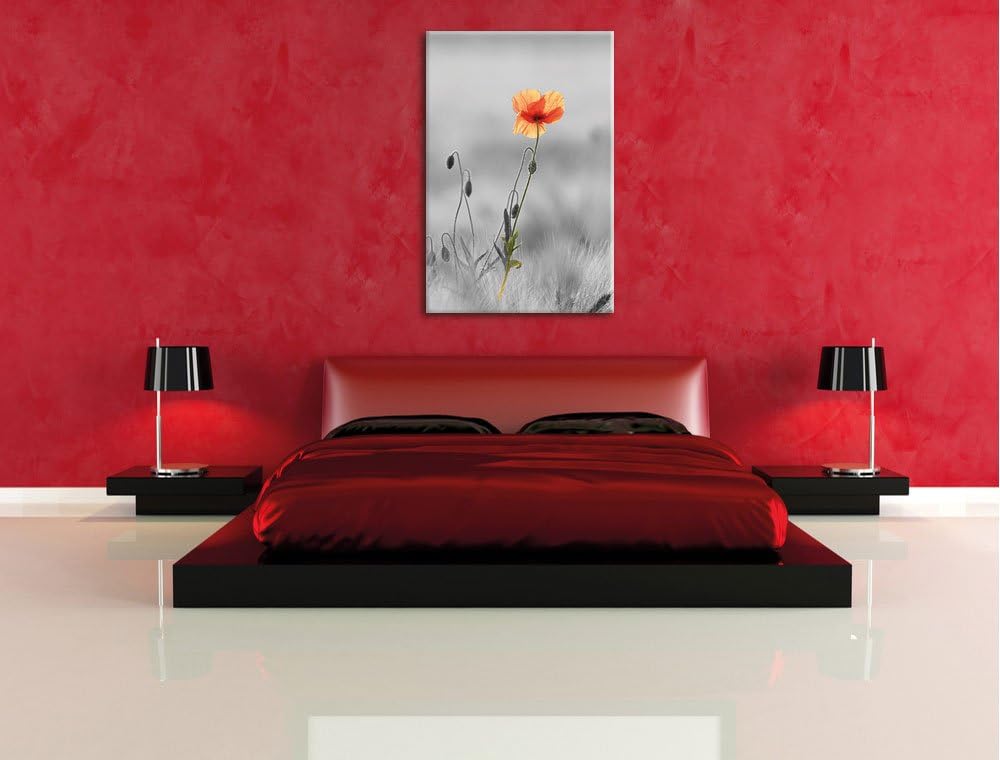 Pixxprint Rote Mohnblume im Feld als Leinwandbild/Grösse: 100x70 cm/Wandbild/Kunstdruck/fertig bespa