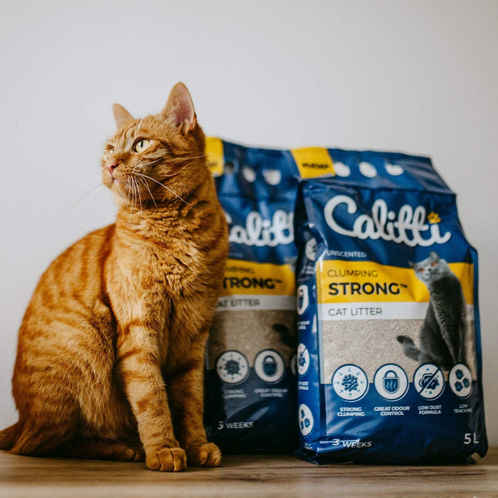 Calitti Katzenstreu Klumpstreu ohne Duft | 100% natürlichem Bentonit | 3 Wochen - 5L