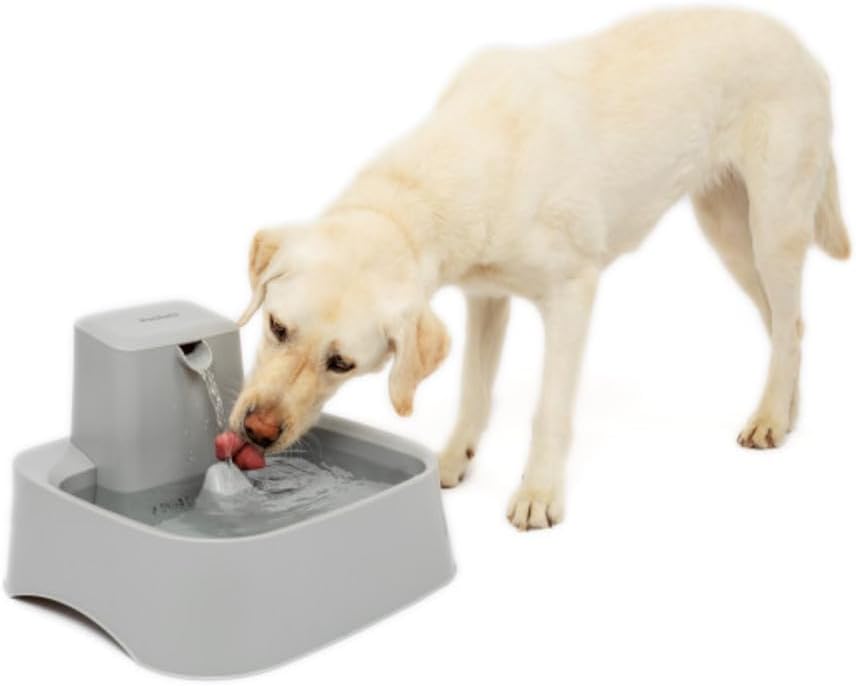 PetSafe 7,5 Liter Trinkbrunnen Drinkwell für Hunde und Katzen, Duales Filtersystem, aus BPA-freiem K