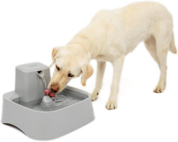 PetSafe 7,5 Liter Trinkbrunnen Drinkwell für Hunde und Katzen, Duales Filtersystem, aus BPA-freiem K