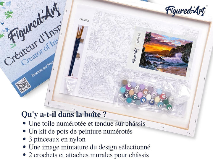 Figured'Art Malen Nach Zahlen Erwachsene Mit Rahmen Klippe und Wellen - Paint by Numbers Basteln DIY