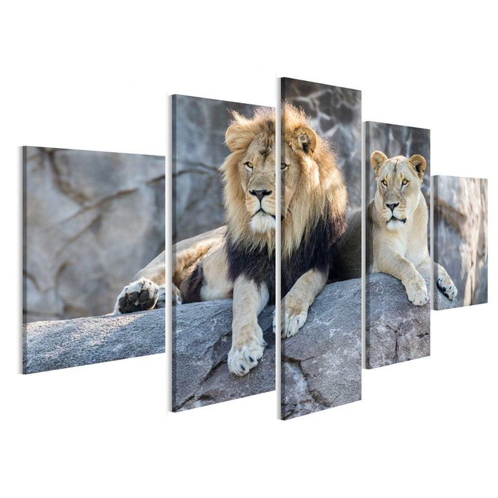 islandburner Bild Bilder auf Leinwand Löwenpaar männlicher und weiblicher Löwe, der auf einem Felsen