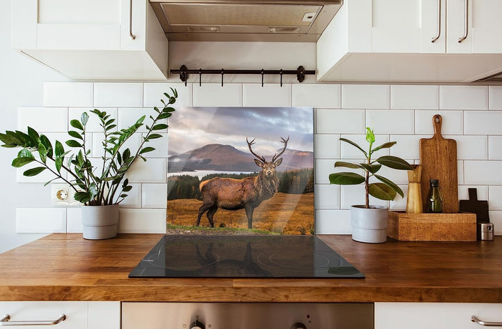 Hirsch in atemberaubender Landschaft Herdabdeckplatte & Spritzschutz aus Echtglas | Für Herd-Kochfel