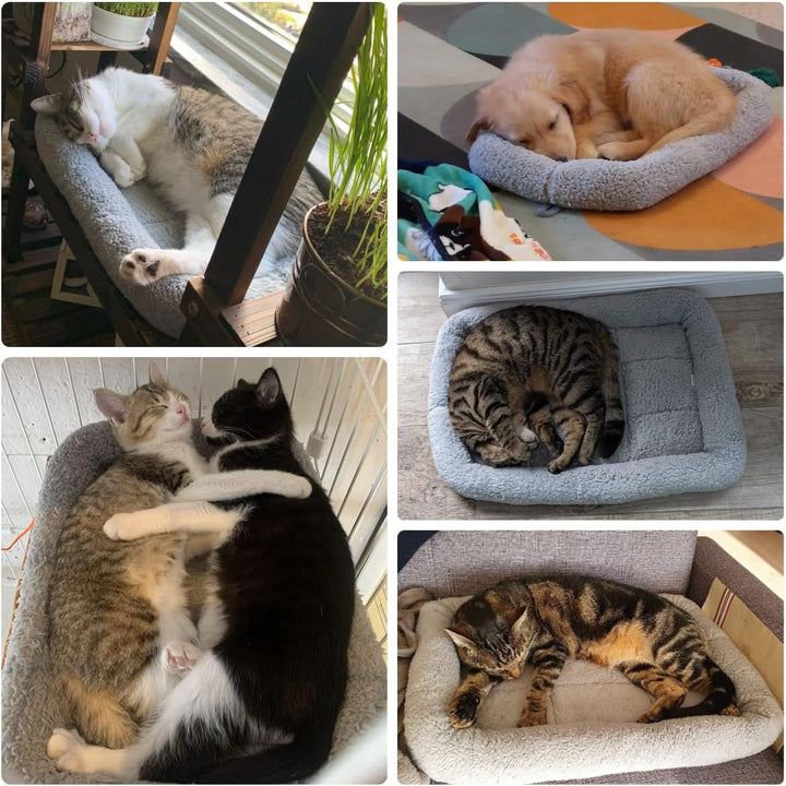 Namsan Katzenbett Hundebett Sanft Katzenkissen Plüsch Wärmematte für Kleinen Hunde/Katze/Hasen, 56CM