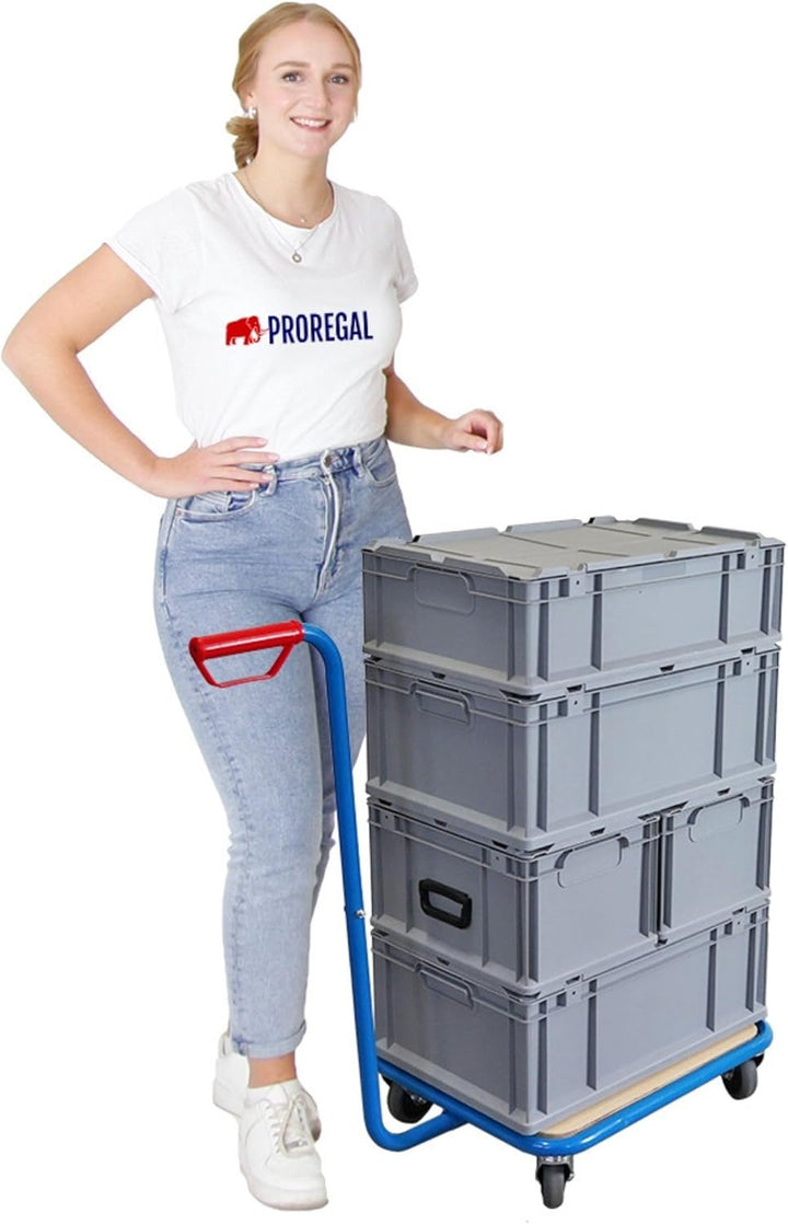 PROREGAL Profi Griffroller | HxBxT 96x50x60 cm | Traglast 250kg | 2X Lenkrollen mit Feststellbremse