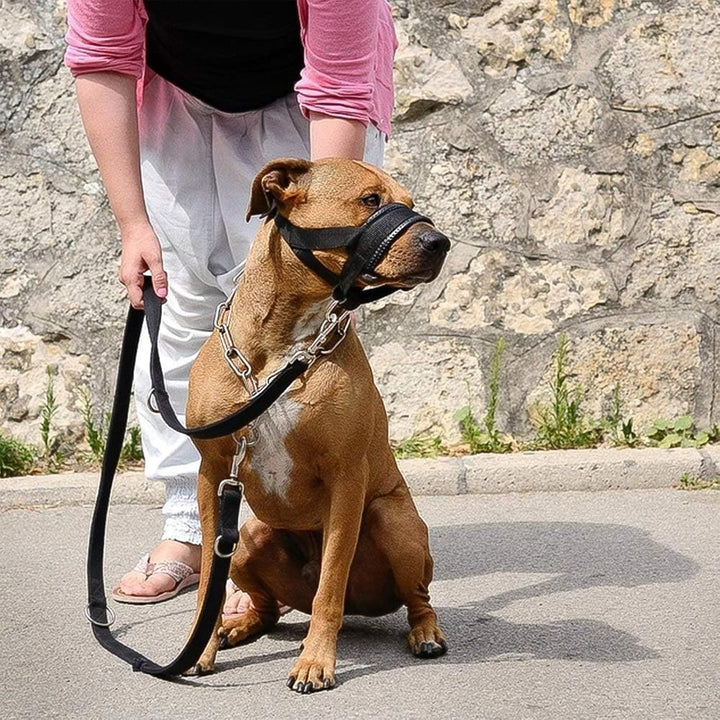 Lepark Nylon-Maulkorb für kleine, mittelgrosse und grosse Hunde, verhindert Beissen, Bellen und Kaue