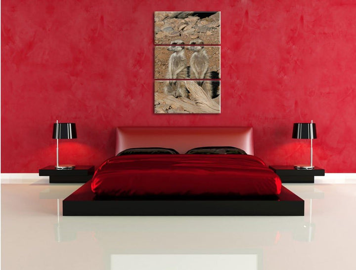 Pixxprint kleines Erdmännchenrudel 3-Teiler Leinwandbild 120x80 Bild auf Leinwand