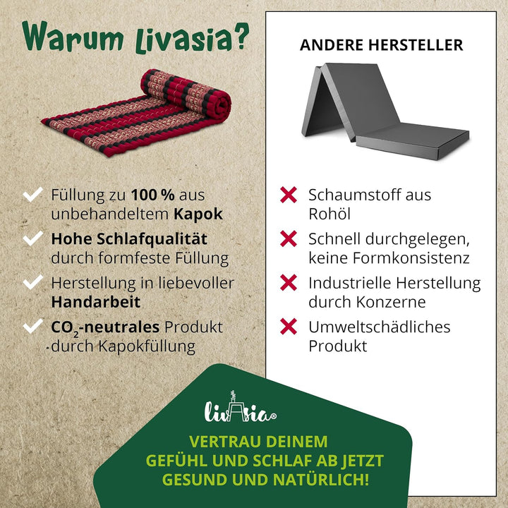 livasia Rollmatte Rollmatratze L-200x110x4,5cm, Gästebett Gästematratze 1 Person, Reisebett Kofferra