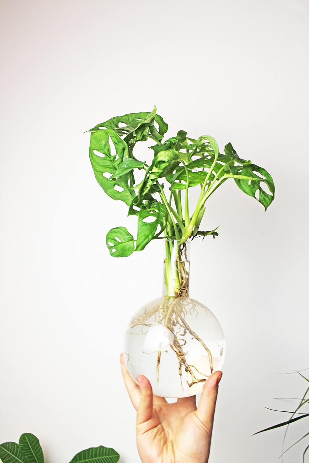 Winkee - Hydrovase Flora 1,5 L | Blumenvase mit Metall-Ständer | Table Planter | Moderne Deko | Glas