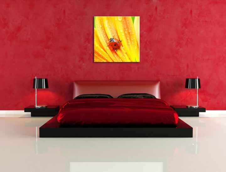 Pixxprint Marienkäfer auf gelber Blume / 70x70cm Leinwandbild bespannt auf Holzrahmen/Wandbild Kunst