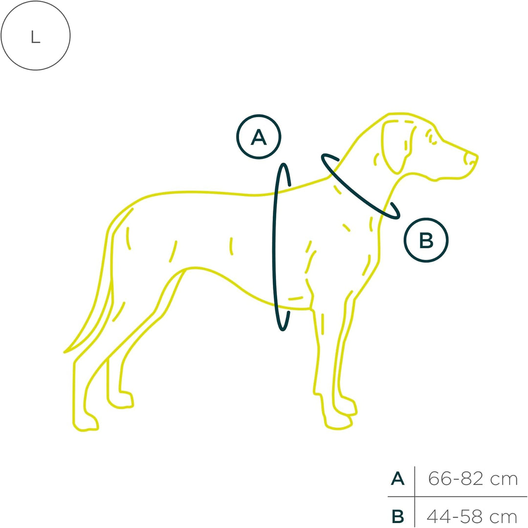 Lord Leder Hundegeschirr mit Guard-Konstruktion | Natürliche Rindsleder, für Grosse Hunde, Komfort u