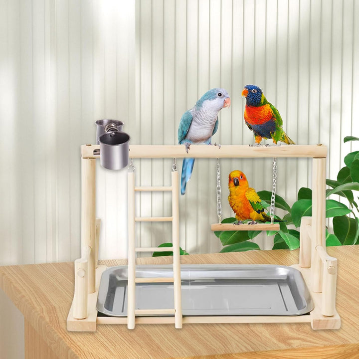 Vogel Spielplatz, Holz Wellensittich Spielplatz Freisitz mit 2 Edelstahl Feeder-Cup Spielzeug Leiter