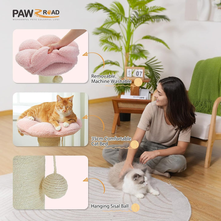 PAWZ Road Flower Katzenkratzbaum - Kleiner Katzenbaum für Indoor-Katzen Mit Super Dickem Kratzbaum [