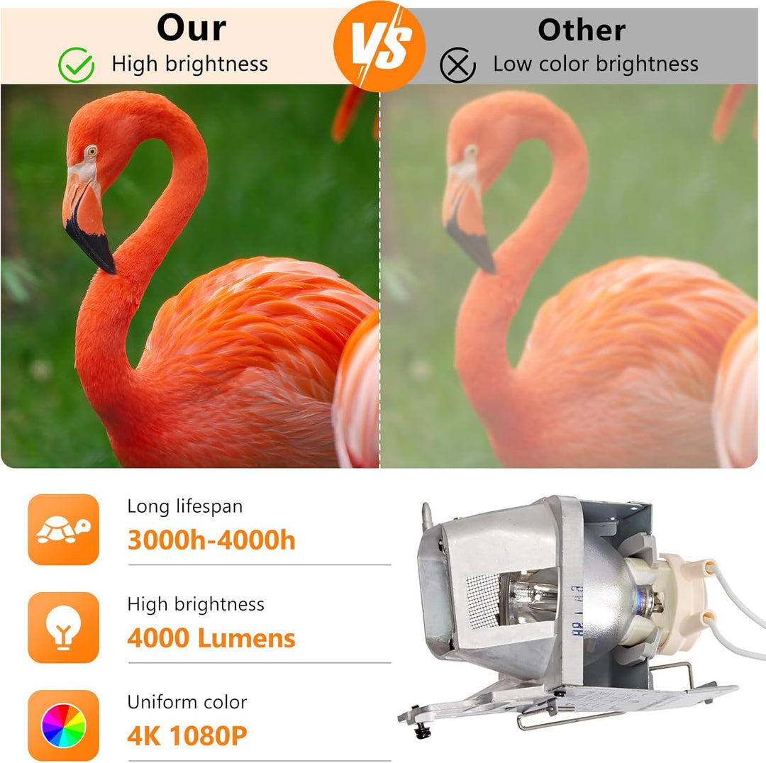 BL-FP210A SP.70201GC01 Beamerlampe Ersatz Projektorlampe Birne mit Gehäuse Kompatibel mit OPTOMA DH1