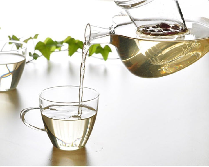 600ML Nordisch 3-in-1 Glas-Teekanne mit abnehmbarem Glas-Infuser mit grossem Ausguss Non-Drip Fussfr
