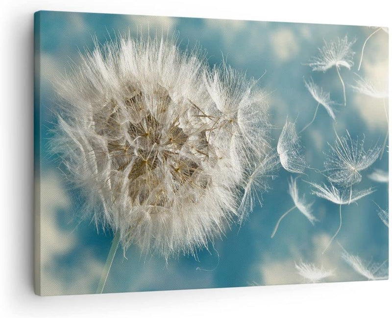 Bilder auf Leinwand Baby Sommer Pflanze Leinwandbild mit Rahmen 70x50cm Wandbilder Dekoration Wohnzi