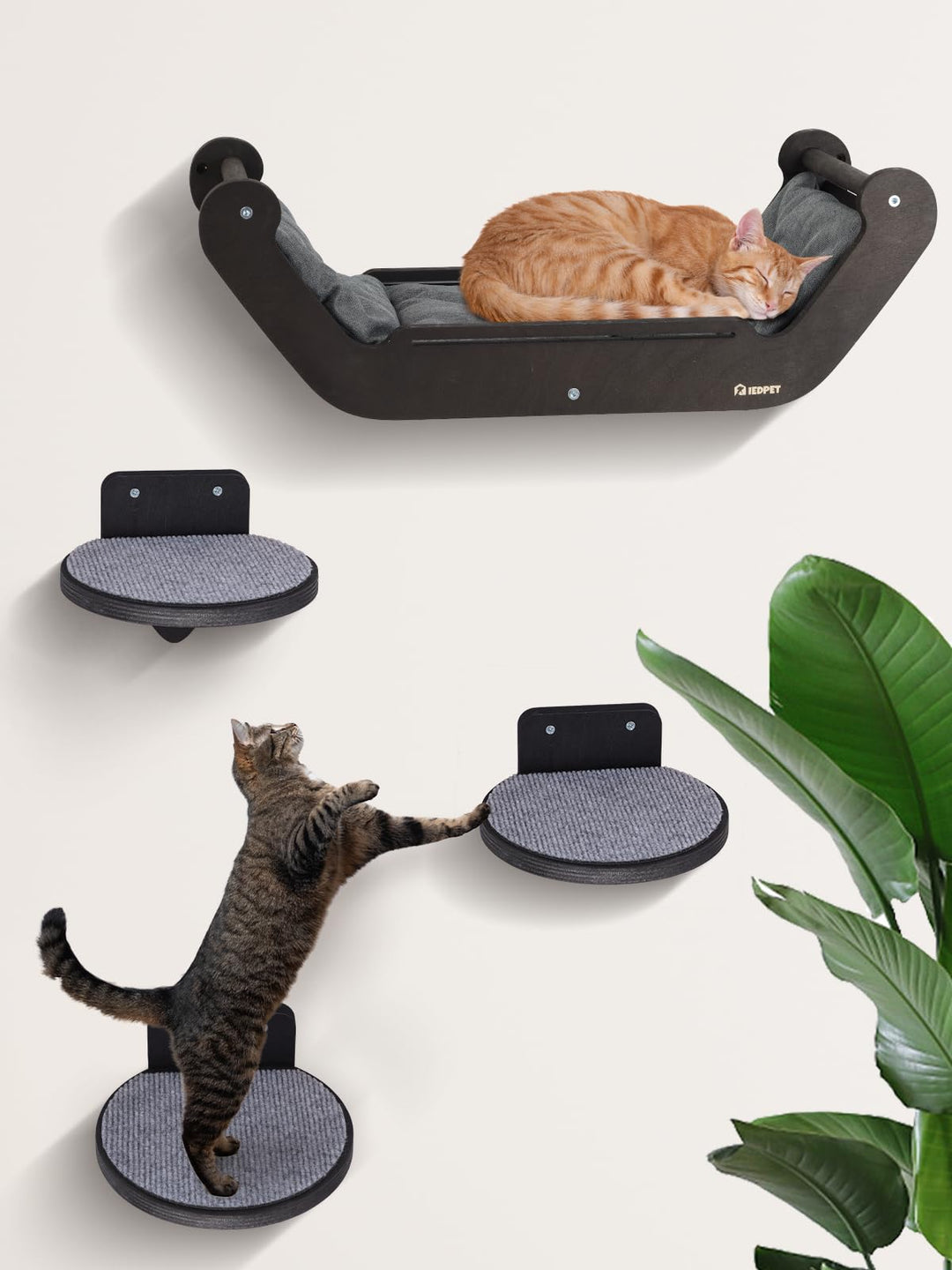 Kletterwand Katzen Set mit Katzenbett und 3 Stufen, Katzenmöbel aus Holz Katzentreppe, Katzen Wandel