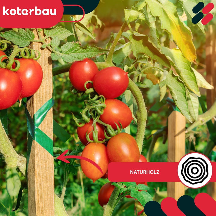 KOTARBAU® 20er Set Tomatenstäbe Pflanzstäbe 150 cm Zaunpfahl Holzpfosten Holzpflock angespitzt Pflan