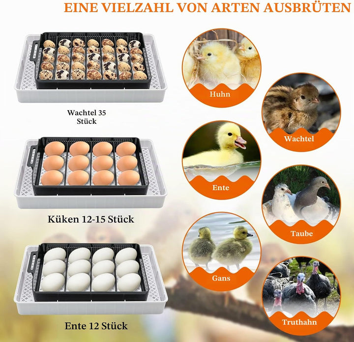 MasXirch 12 Eier Inkubator Automatisch mit Effizienter LED Beleuchtung,Inkubator Brutkasten Motorbrü