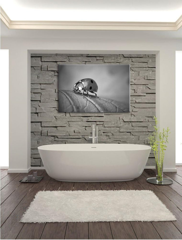 Pixxprint Kleiner Marienkäfer auf Blatt B&W als Leinwandbild/Grösse: 100x70 / Wandbild/Kunstdruck/fe