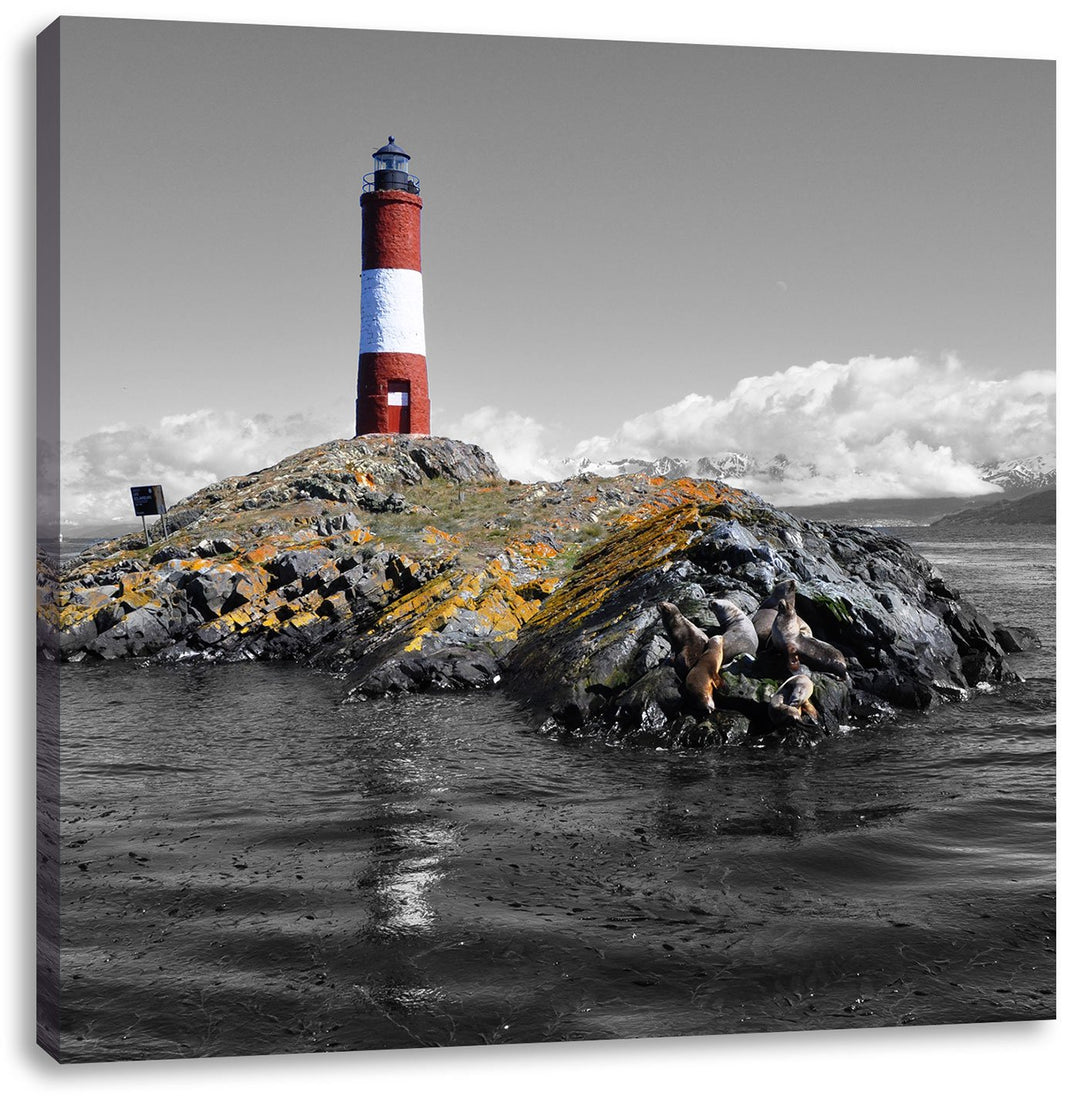 Pixxprint Leuchtturm mit Robben auf Kleiner Insel im Meer Schwarz/Weiss, Format: 70x70 auf Leinwand,
