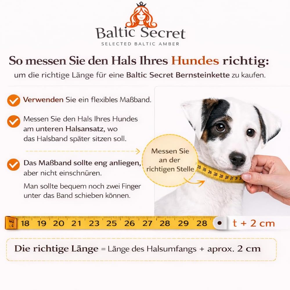 Bernsteinkette Hund, Bernsteinhalsband Hunde mit Lederband, Zeckenschutz Hunde, Flöhe Hund, Zeckensc