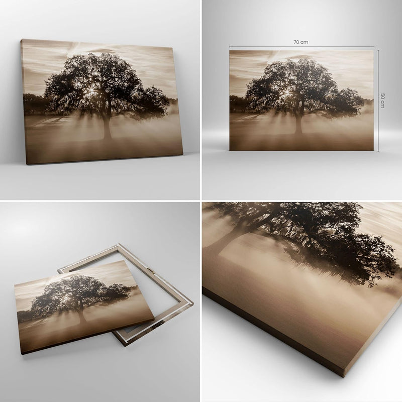 Bilder auf Leinwand Baum Feld Natur Leinwandbild mit Rahmen 70x50cm Wandbilder Dekoration Wohnzimmer