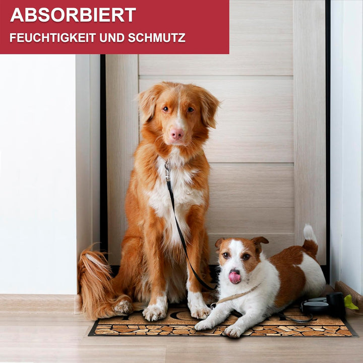 Hochwertige Fussmatte 60x80 cm (Large) – Schmutzfangmatte für Innen & Aussen, rutschfest mit hoher S