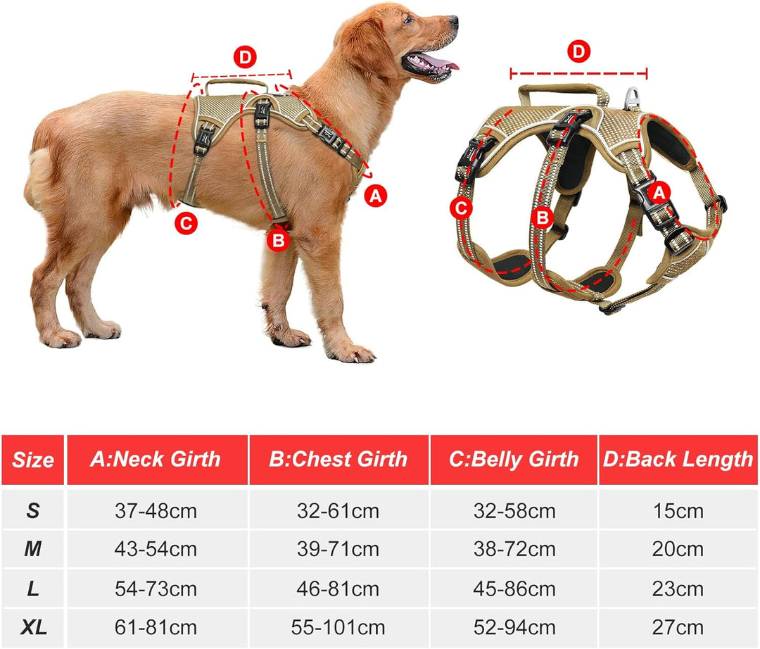 HEELE Hundegeschirr, Ausbruchsicher, Schnalle im Halsbereich, Reflektierend, Brustgeschirr mit Robus