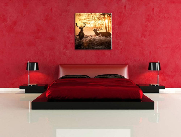 Hirsch Rivalen kämpfen, Format: 70x70 auf Leinwand, XXL riesige Bilder fertig gerahmt mit Keilrahmen