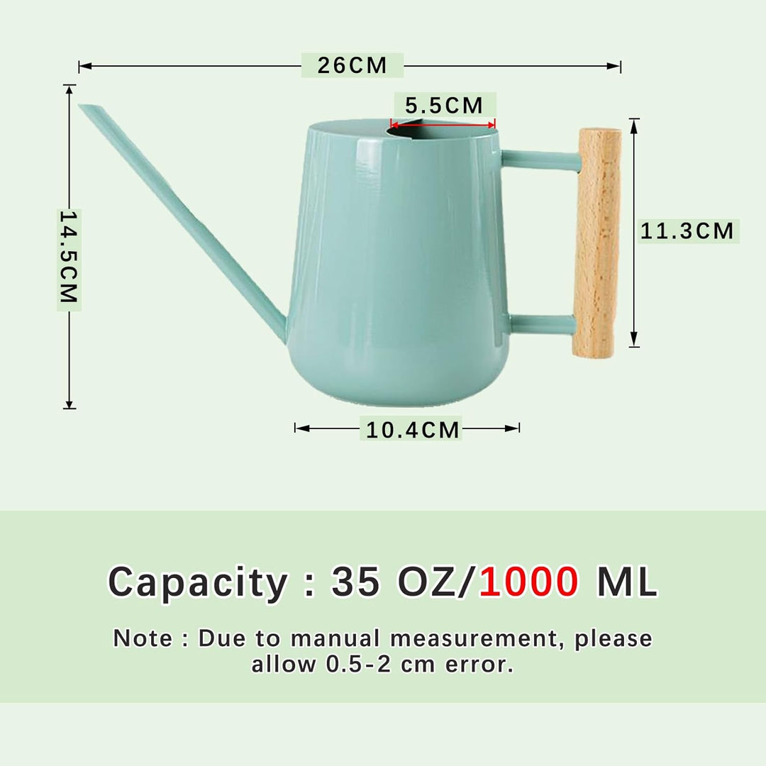 1L Giesskanne Zimmerpflanzen, (1000 ml) 35 Oz Metall Edelstahl Klein Giesskanne mit Langem Auslauf u