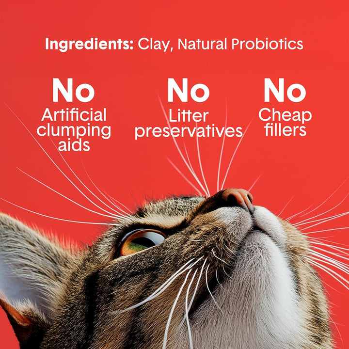 Boxiecat Zusätzliche Kraft, Klumpstreu Clay Katzenstreu 16 lb, 16 lb