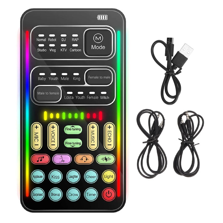 Dpofirs Tragbarer Sprachwechsler, Handheld-Mikrofon-Sprachwechsler mit Sound Multifunktionale Effekt