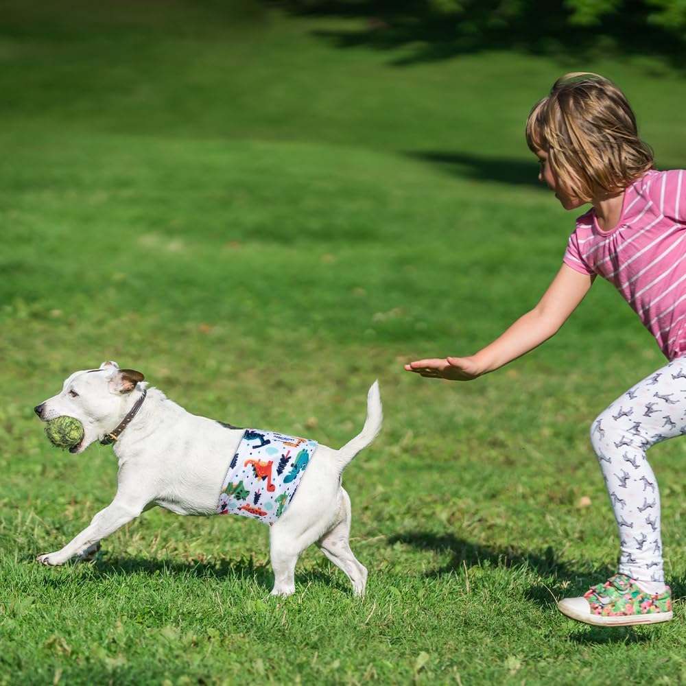 MICOOYO Wiederverwendbare Hundewindeln für Männer, 3er-Pack, waschbare Bauchbänder für Hunde, super