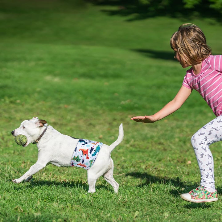 MICOOYO Wiederverwendbare Hundewindeln für Männer, 3er-Pack, waschbare Bauchbänder für Hunde, super