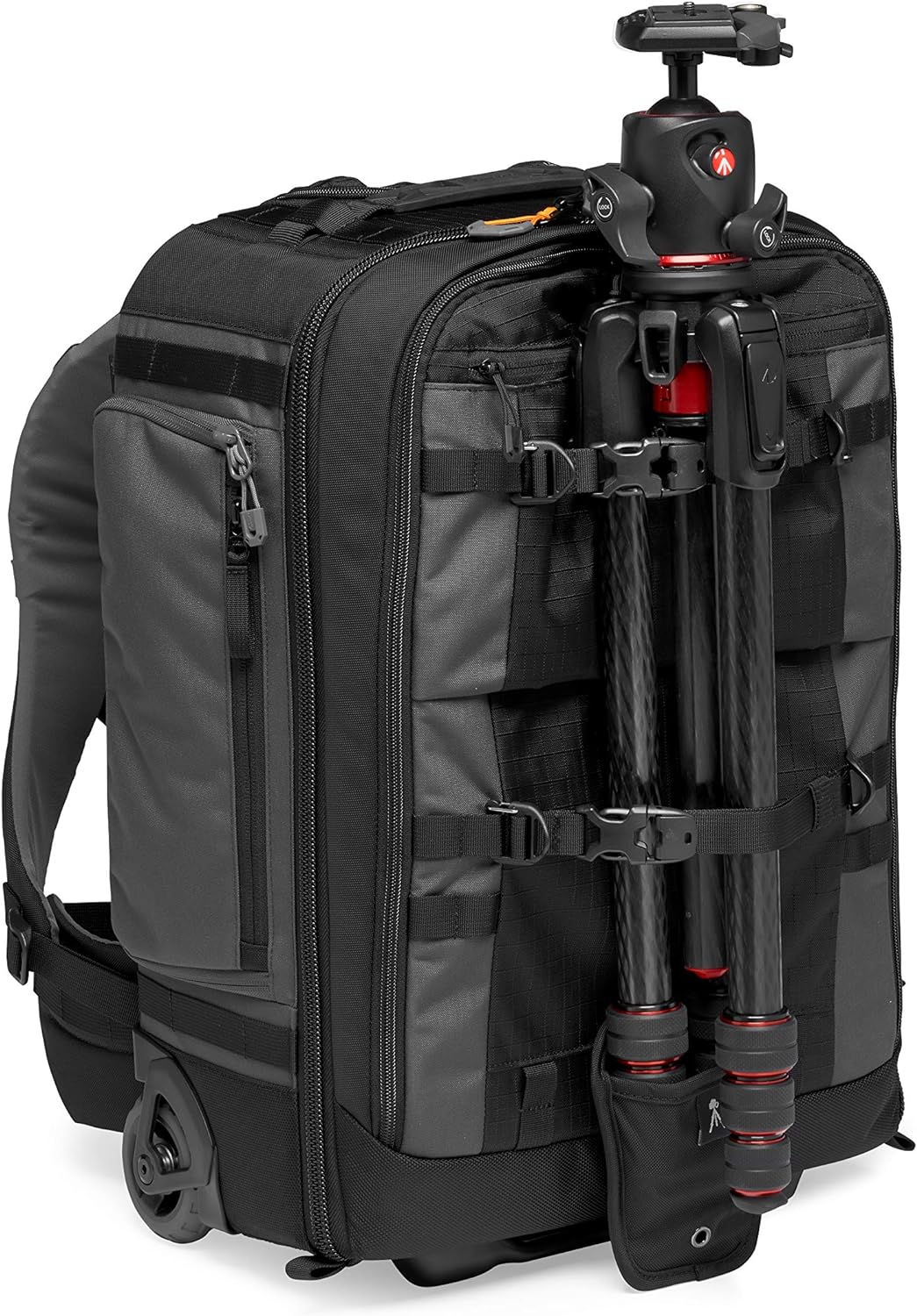 Lowepro LP37272-PWW Pro Trekker RLX 450 AW II Kamerarucksack/-Trolley für 15-Zoll-Laptop/iPad, spieg