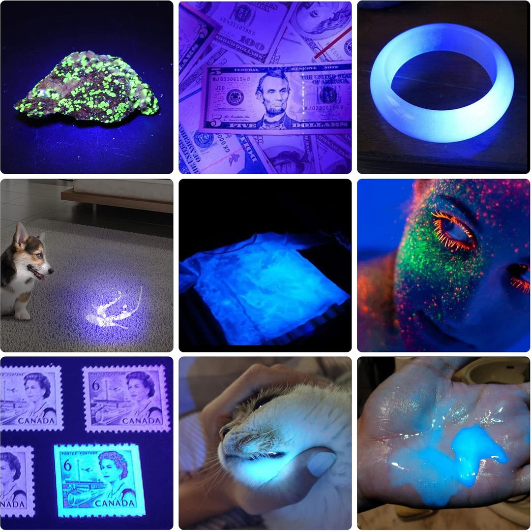 DARKBEAM UV Taschenlampe Schwarzlicht 365nm & 395nm Wiederaufladbare, Woodsche Lampe USB Schwarzlich