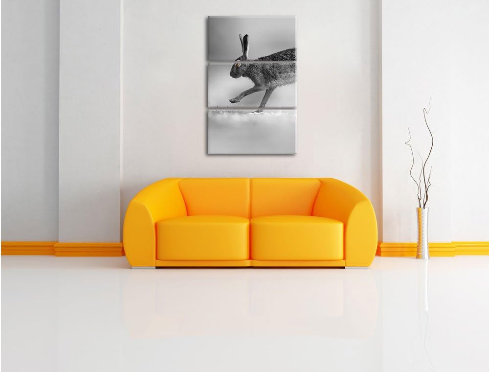 Pixxprint Springender Feldhase schwarz/weiss / 3-Teilig/Gesamtmass 120cm Leinwandbild bespannt auf H