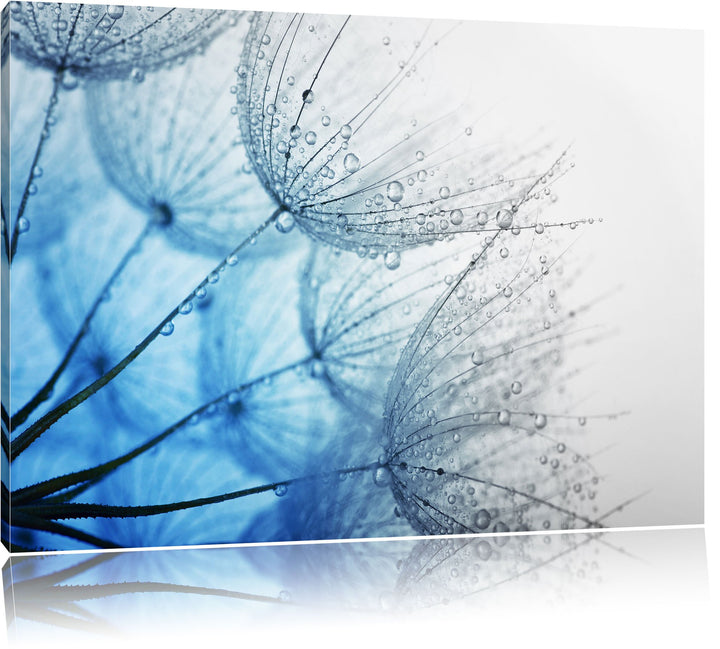 Pixxprint Tropfen bedeckte Pusteblumen/Format: 100x70cm / Leinwandbild fertig bespannt Wandbild Kuns