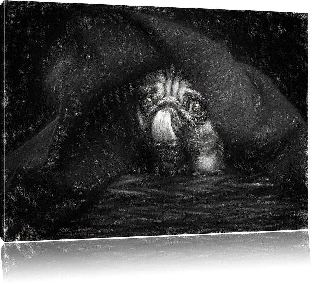 Pixxprint Süsser Mops unter der Decke Kunst als Leinwandbild/Grösse: 100x70 / Wandbild/Kunstdruck/fe