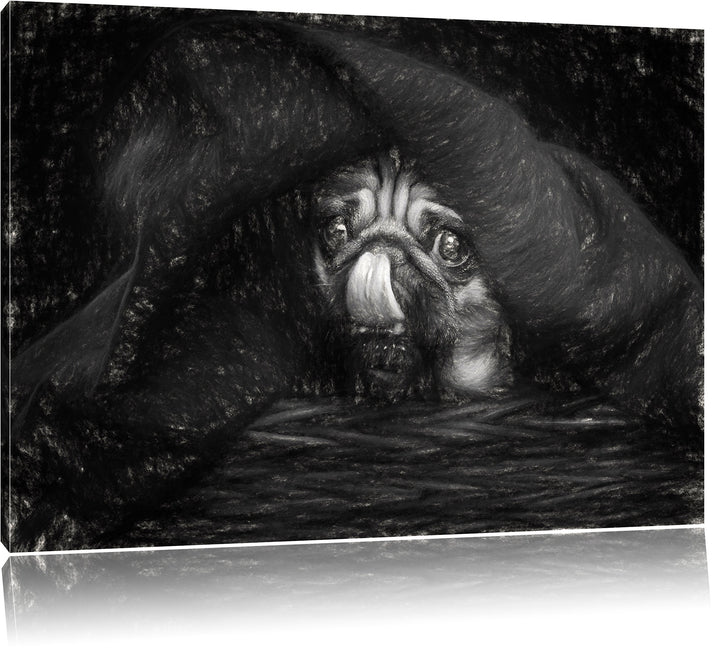 Pixxprint Süsser Mops unter der Decke Kunst als Leinwandbild/Grösse: 100x70 / Wandbild/Kunstdruck/fe