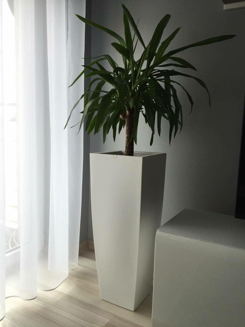 Forvega - Juno-Topf, Höhe 75 cm, Zeitloses Design, Top-Qualität, drinnen und draussen, passend für J