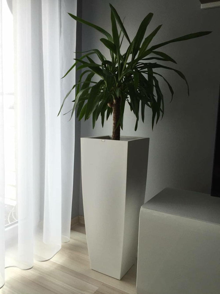 Forvega - Juno-Topf, Höhe 75 cm, Zeitloses Design, Top-Qualität, drinnen und draussen, passend für J