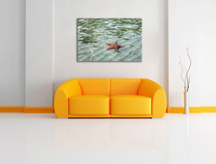 Seestern im klaren Wasser Leinwand, XXL riesige Bilder fertig gerahmt mit Keilrahmen, Kunstdruck auf